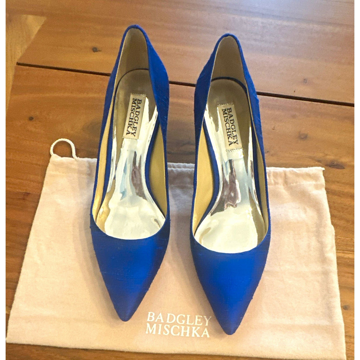 Badgley Mischka Women's Blue Silk Blend Pointed Toe Stiletto Pumps 7.5