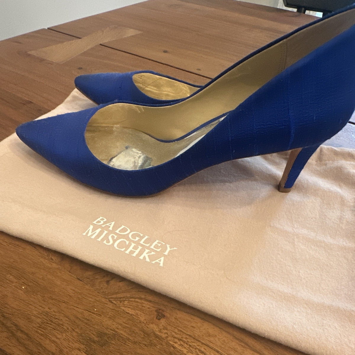 Badgley Mischka Women's Blue Silk Blend Pointed Toe Stiletto Pumps 7.5
