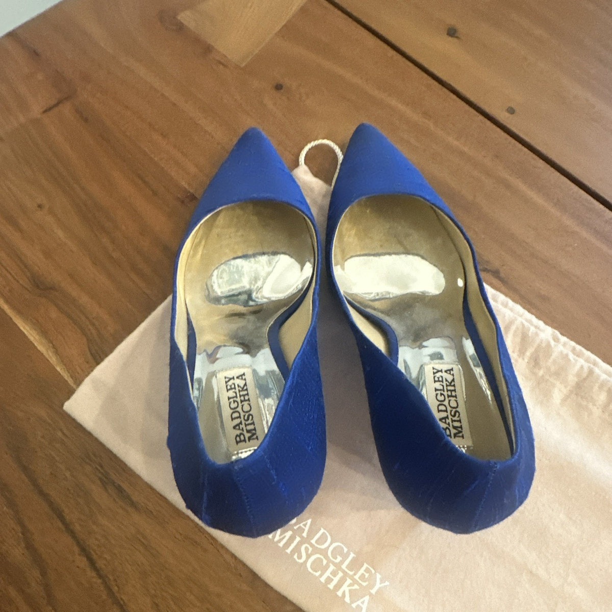 Badgley Mischka Women's Blue Silk Blend Pointed Toe Stiletto Pumps 7.5
