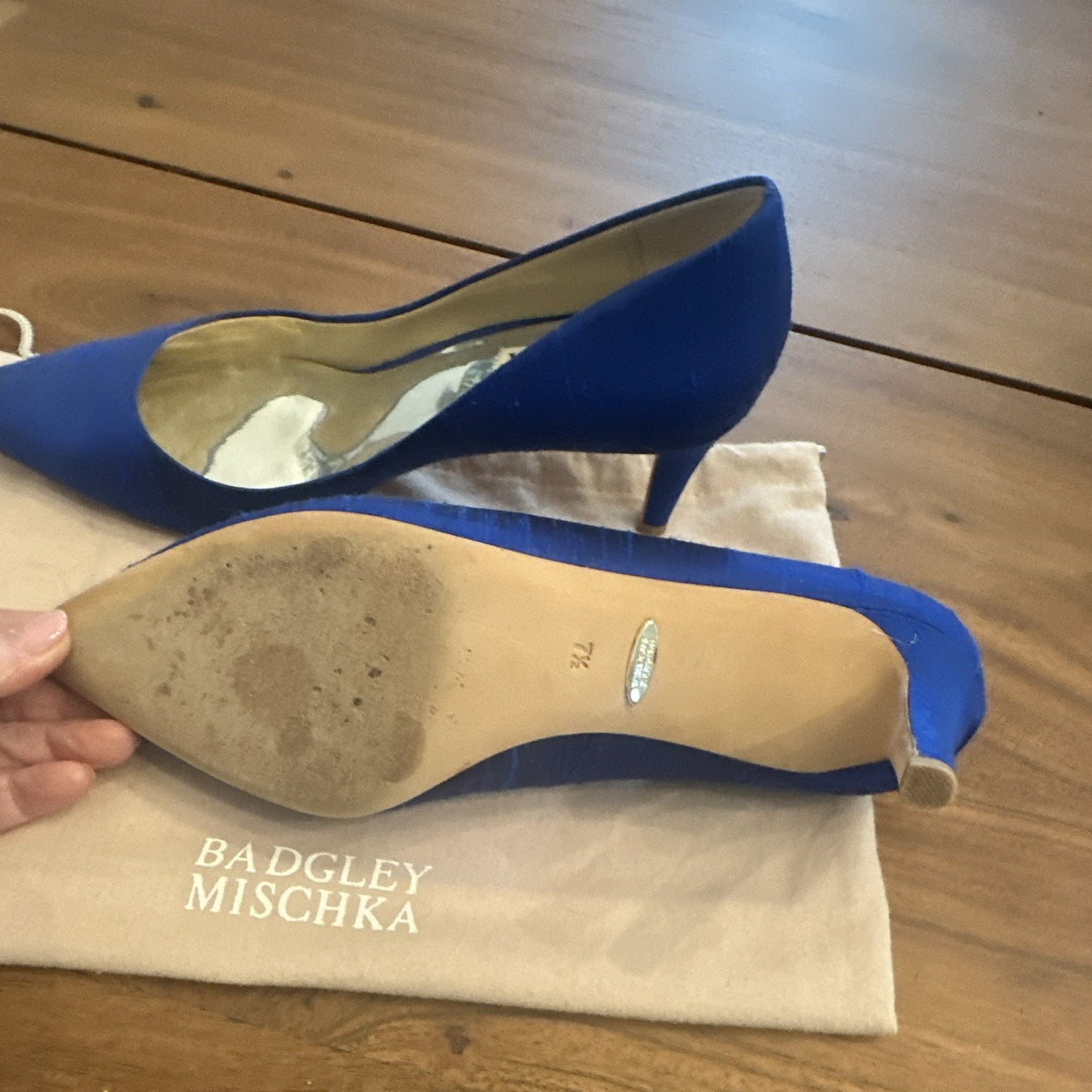 Badgley Mischka Women's Blue Silk Blend Pointed Toe Stiletto Pumps 7.5